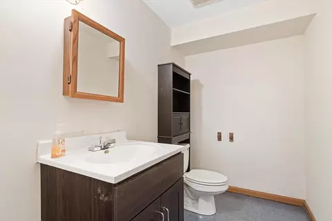 475 E Pine Meadow Ct, Morris, IL 60450 photo 44