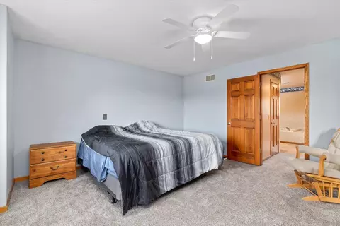 475 E Pine Meadow Ct, Morris, IL 60450 photo 34