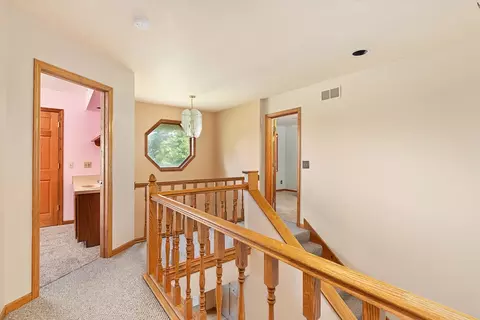 475 E Pine Meadow Ct, Morris, IL 60450 photo 27