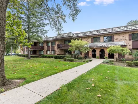 8010 Woodglen Ln #208, Downers Grove, IL 60516