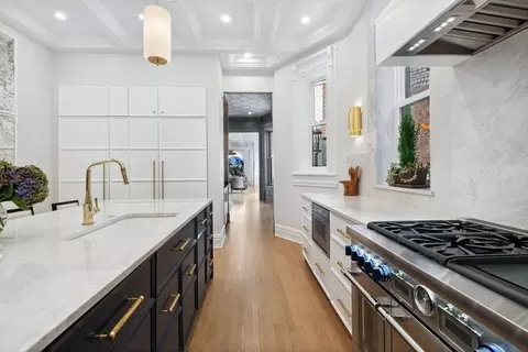 19 E Goethe St, Chicago, IL 60610 photo 15