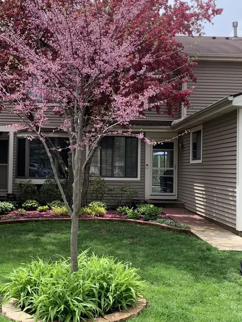 227 E Forest Knoll Dr, Palatine, IL 60074