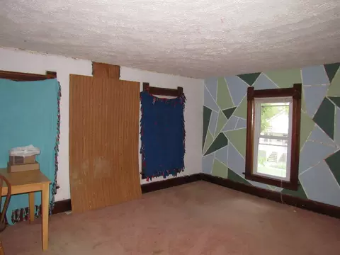 933 E Jackson St, Morris, IL 60450 photo 14