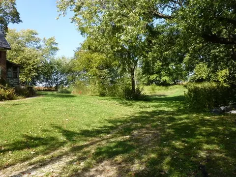 17221 De Witt Rd, Dewitt, IL 61735 photo 4