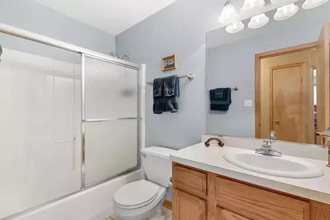 313 Timbers Bluff Trl, Beecher, IL 60401 photo 13
