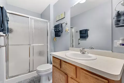 313 Timbers Bluff Trl, Beecher, IL 60401 photo 11