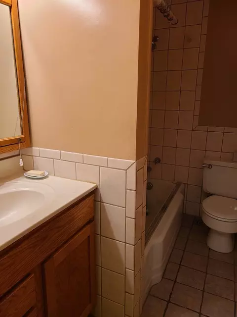 341 Custer Ave #1, Evanston, IL 60202 photo 7