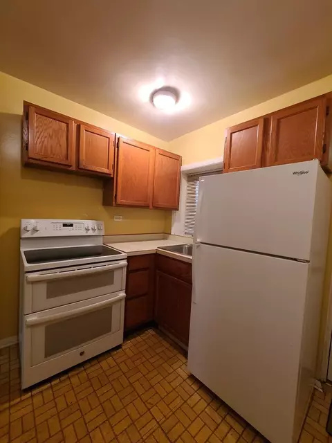 341 Custer Ave #1, Evanston, IL 60202 photo 5