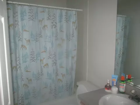 1062 Stillwater Rd #1062, Elgin, IL 60120 photo 9
