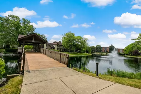 10 Kent Ct, Willowbrook, IL 60527 photo 22