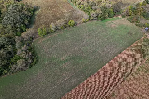 7870 N Adeline Rd, Leaf River, IL 61047 photo 62