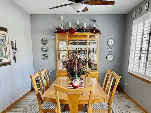 21504 W Empress Ln, Plainfield, IL 60544 photo 11