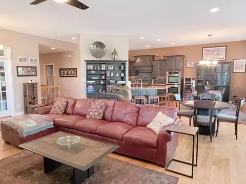 21796 Tower Bridge Dr, Mokena, IL 60448 photo 7