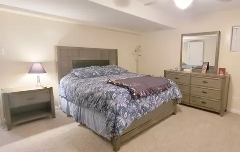 21796 Tower Bridge Dr, Mokena, IL 60448 photo 28