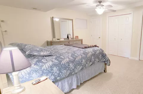 21796 Tower Bridge Dr, Mokena, IL 60448 photo 27