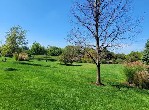 21796 Tower Bridge Dr, Mokena, IL 60448 photo 45