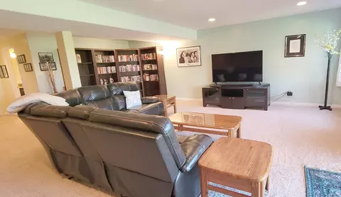 21796 Tower Bridge Dr, Mokena, IL 60448 photo 35
