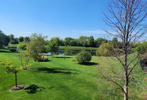 21796 Tower Bridge Dr, Mokena, IL 60448 photo 43