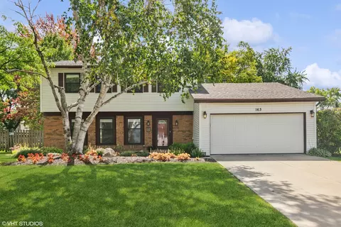 163 E Cedarwood Ct, Palatine, IL 60067