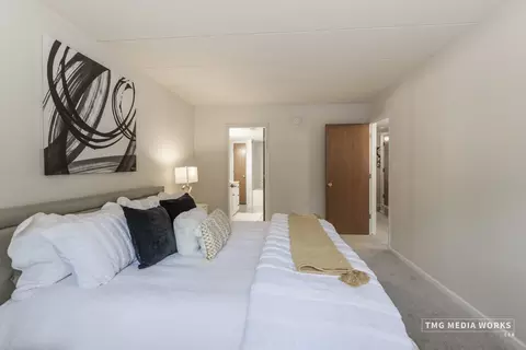 616 E 5th Ave #101, Naperville, IL 60563 photo 16