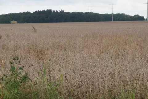 Section 9 24.70 Acres Road, Bonfield, IL 60913