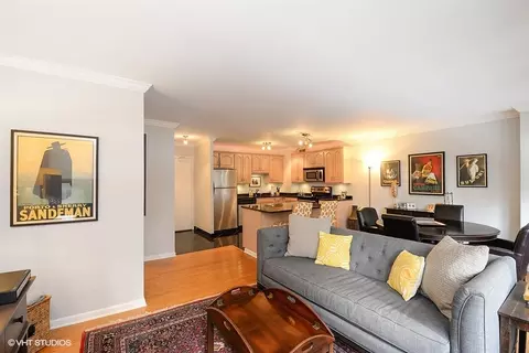 33 E Cedar St #4B, Chicago, IL 60611 photo 2
