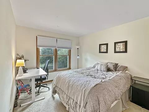 3511 Lakeview Dr, Algonquin, IL 60102 photo 21