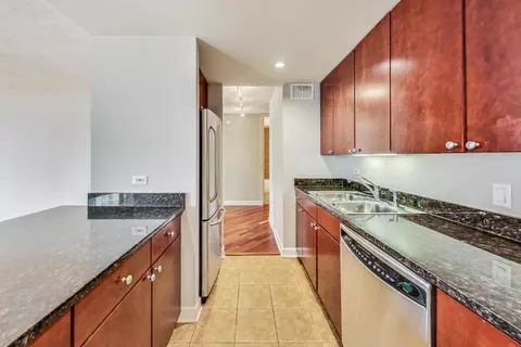 30 E Huron St #3209, Chicago, IL 60611 photo 10