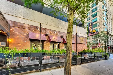 30 E Huron St #3209, Chicago, IL 60611 photo 34