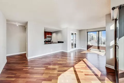 30 E Huron St #3209, Chicago, IL 60611 photo 7