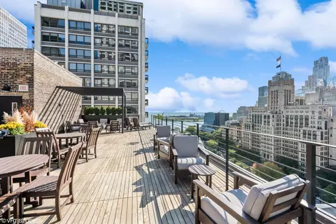 210 E Pearson St #7C, Chicago, IL 60611 photo 48