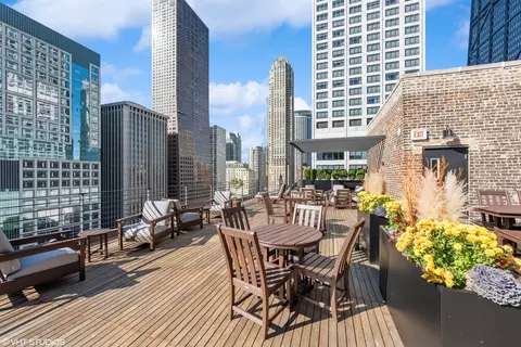 210 E Pearson St #7C, Chicago, IL 60611 photo 47