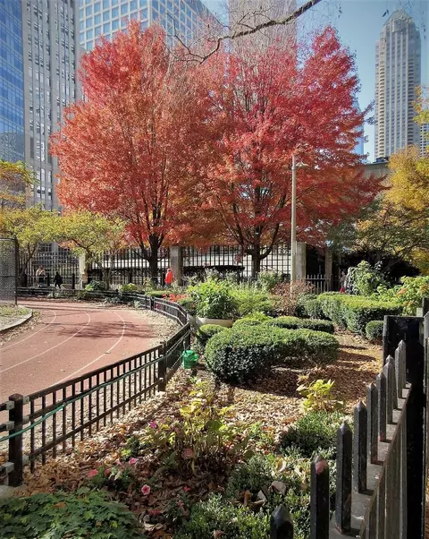 210 E Pearson St #7C, Chicago, IL 60611 photo 53