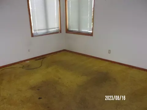 650 W Blue St, Sheldon, IL 60966 photo 10