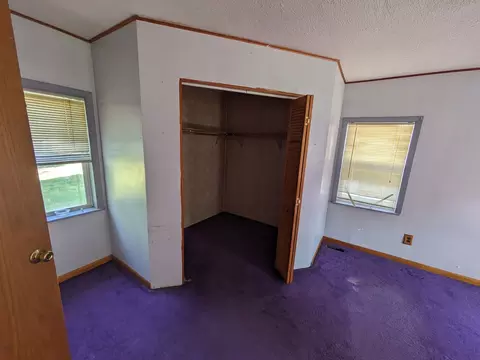 11616 West St, Downs, IL 61736 photo 7