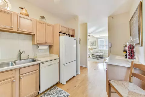 1222 Depot St #2D, Glenview, IL 60025 photo 12