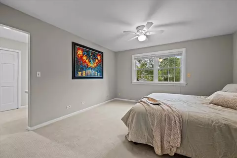917 N Cross St, Wheaton, IL 60187 photo 21