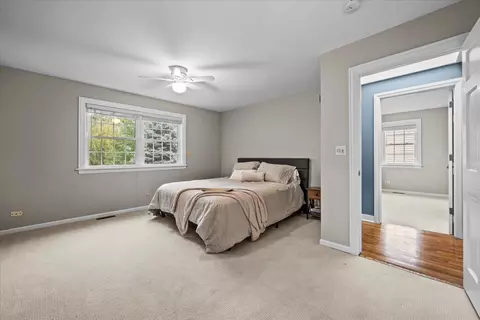 917 N Cross St, Wheaton, IL 60187 photo 20