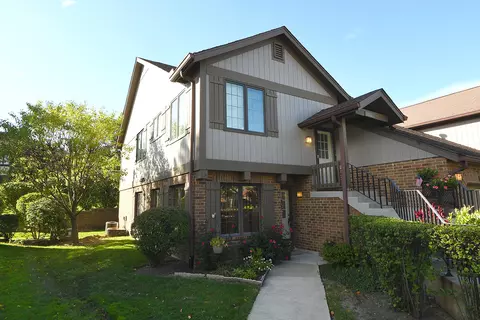 13320 S Oakview Ct #13320, Palos Heights, IL 60463