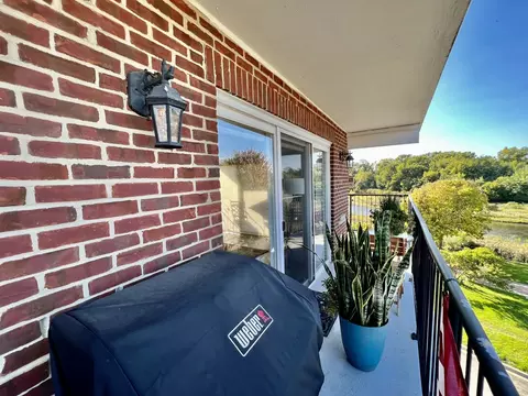 8010 Riverwalk Dr #4A, Lyons, IL 60534 photo 19