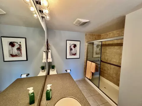 8010 Riverwalk Dr #4A, Lyons, IL 60534 photo 16