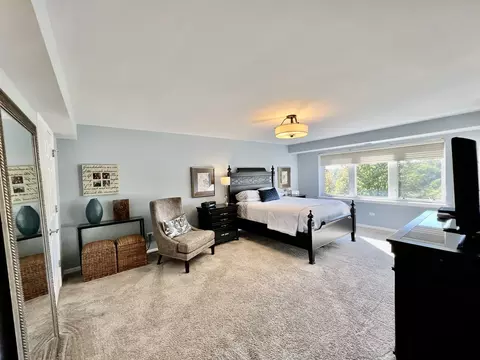 8010 Riverwalk Dr #4A, Lyons, IL 60534 photo 12