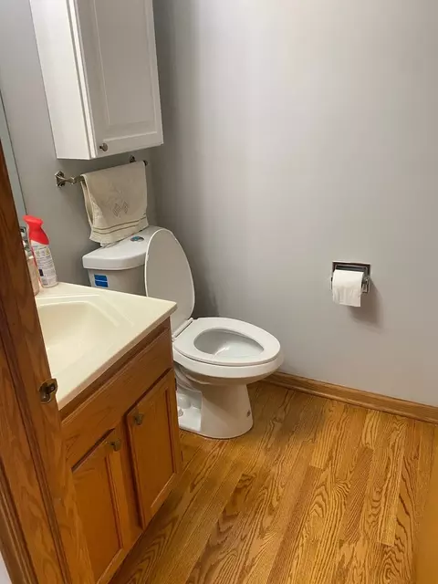 189 Dickens Trl, Elgin, IL 60120 photo 17