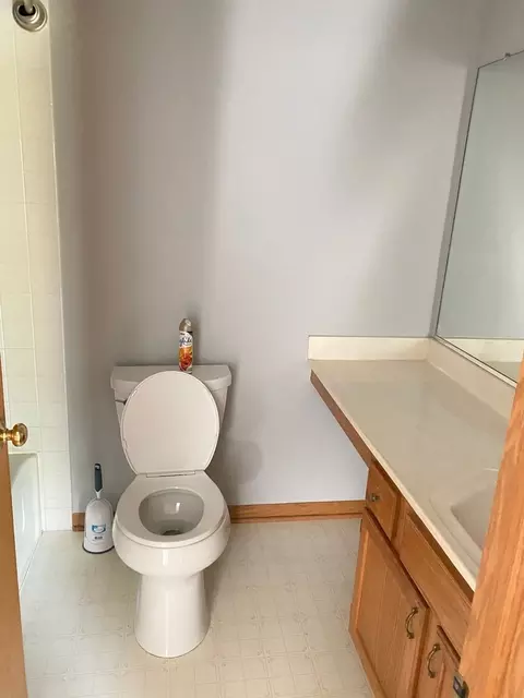 189 Dickens Trl, Elgin, IL 60120 photo 11