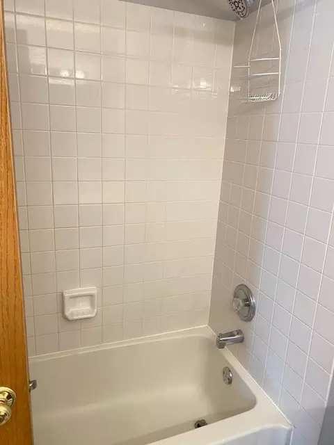 189 Dickens Trl, Elgin, IL 60120 photo 12