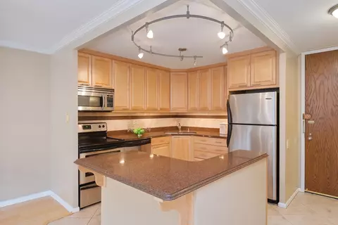 110 E Delaware Pl #702, Chicago, IL 60611 photo 8