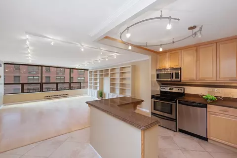 110 E Delaware Pl #702, Chicago, IL 60611 photo 10