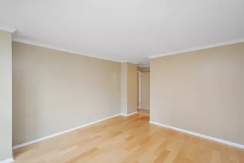 110 E Delaware Pl #702, Chicago, IL 60611 photo 13
