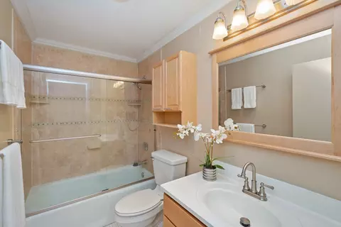 110 E Delaware Pl #702, Chicago, IL 60611 photo 14