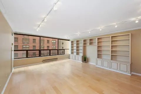 110 E Delaware Pl #702, Chicago, IL 60611 photo 4